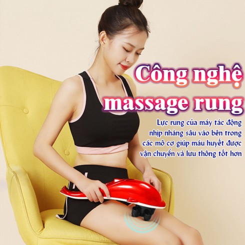 Máy massage cầm tay các heo 6 đầu PL-608B