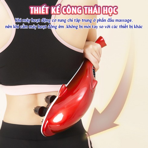 Máy massage cầm tay các heo 6 đầu PL-608B